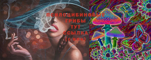 первитин Богородицк