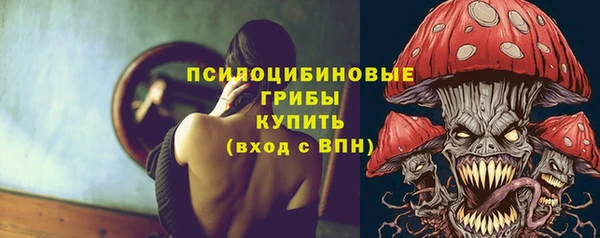 первитин Богородицк